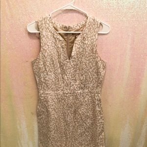 Banana Republic beige animal print dress